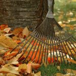 Autumn Circle of Light
