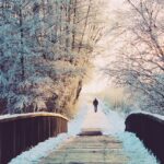 Winter Circle of Light