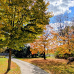 Learning to Go Slow: A Weekend of Reflection and Connection